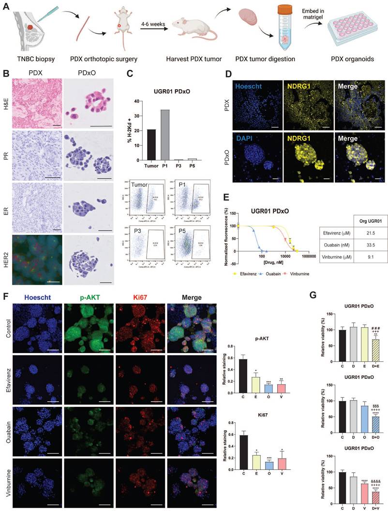 Int J Biol Sci Image