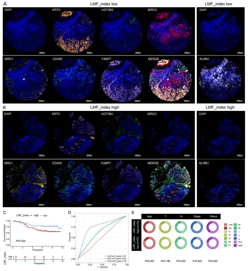 Int J Biol Sci Image