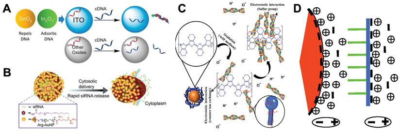 Int J Biol Sci Image