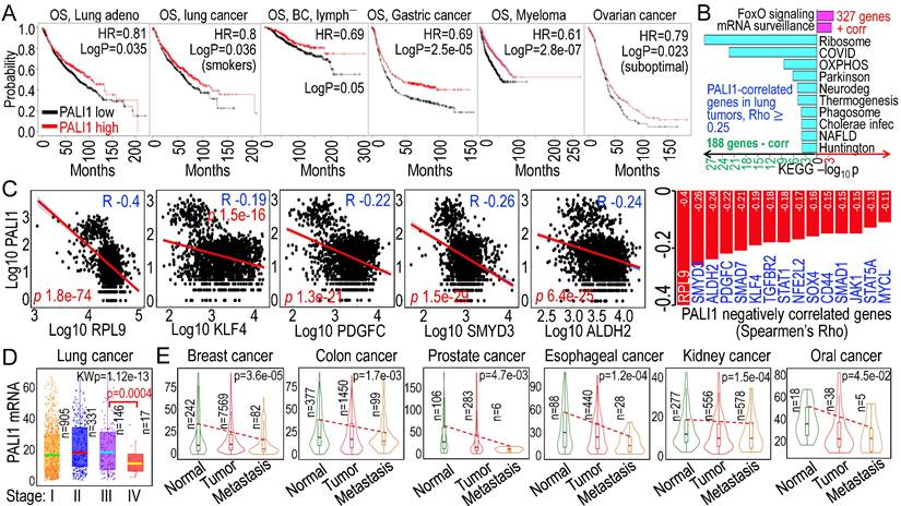 Int J Biol Sci Image