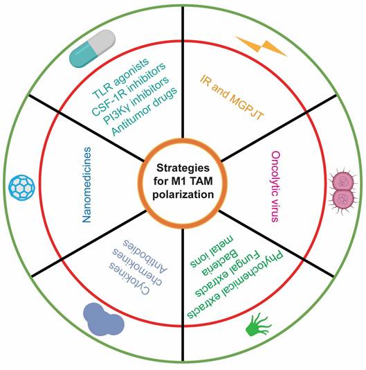 Int J Biol Sci Image