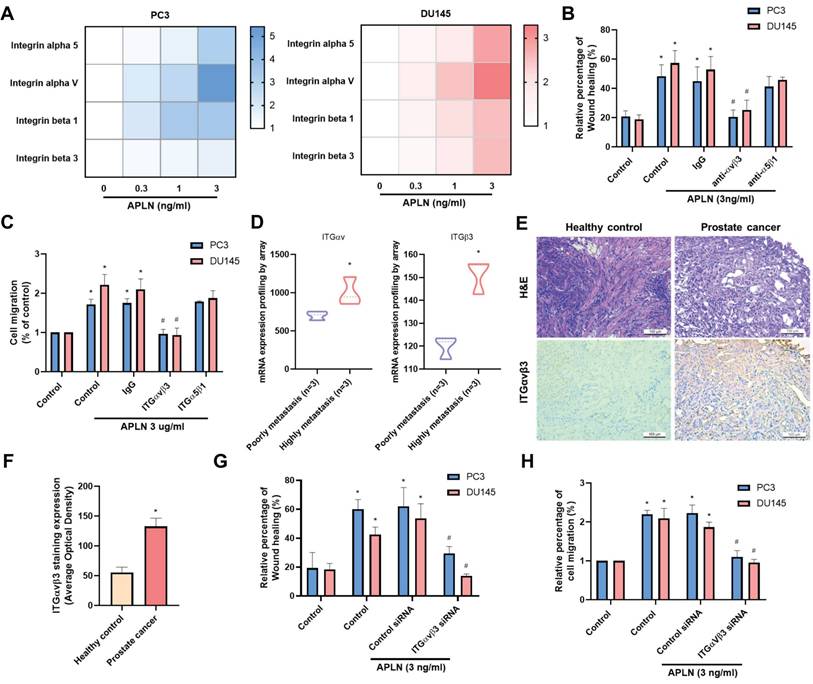 Int J Biol Sci Image
