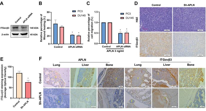 Int J Biol Sci Image