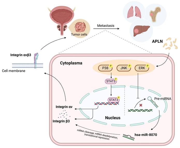 Int J Biol Sci Image