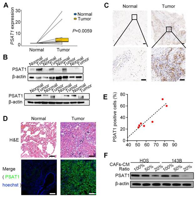 Int J Biol Sci Image
