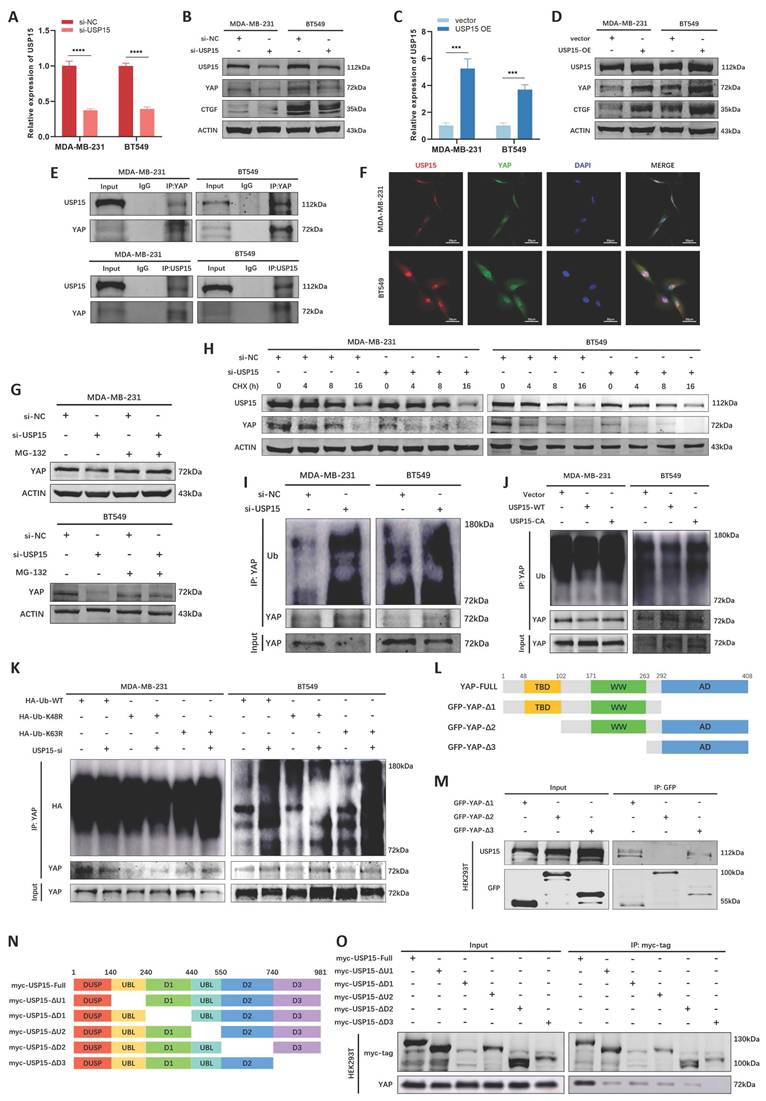 Int J Biol Sci Image