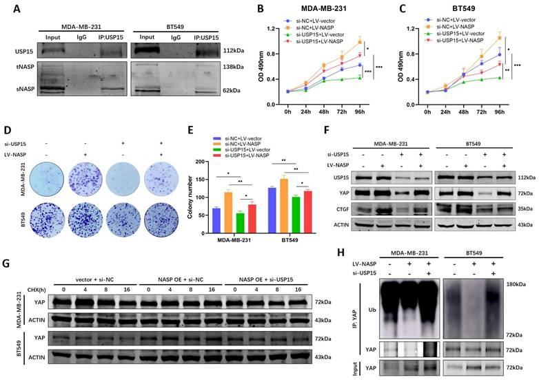 Int J Biol Sci Image