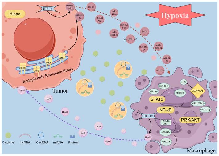 Int J Biol Sci Image