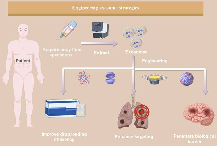Int J Biol Sci Image