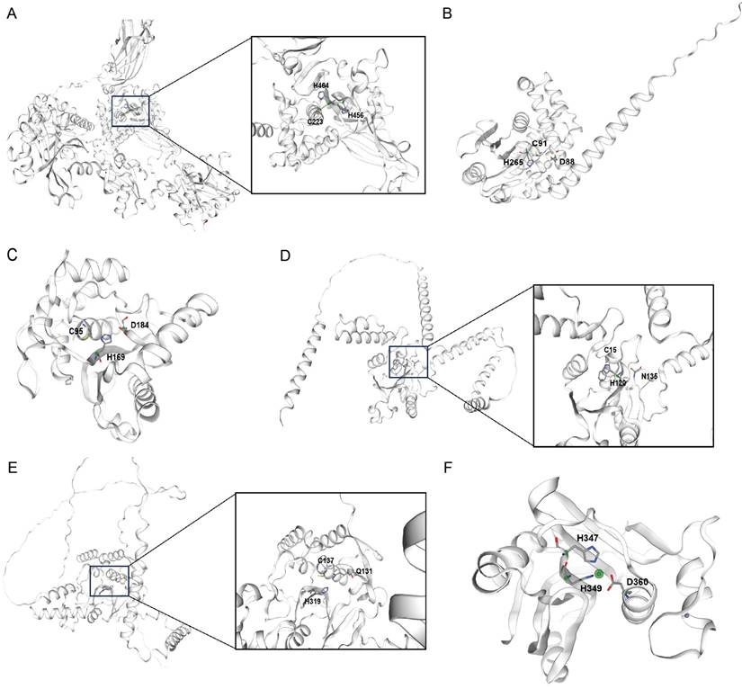 Int J Biol Sci Image