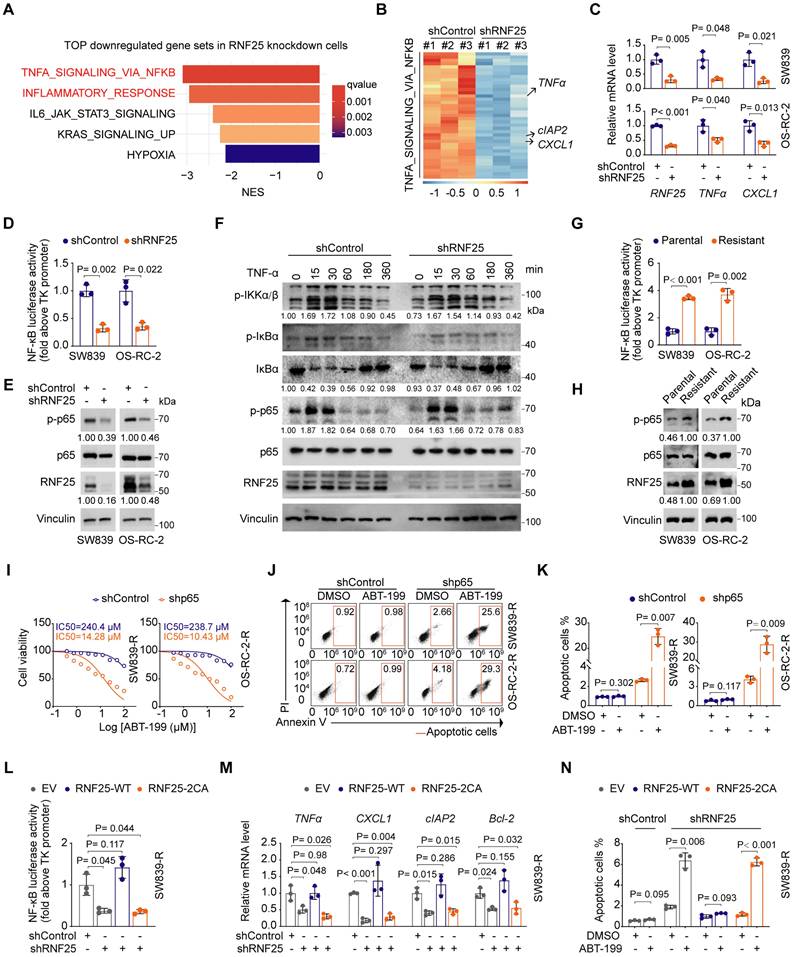 Int J Biol Sci Image