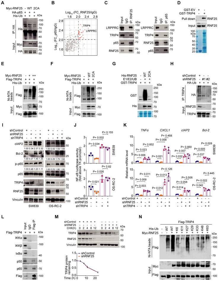 Int J Biol Sci Image