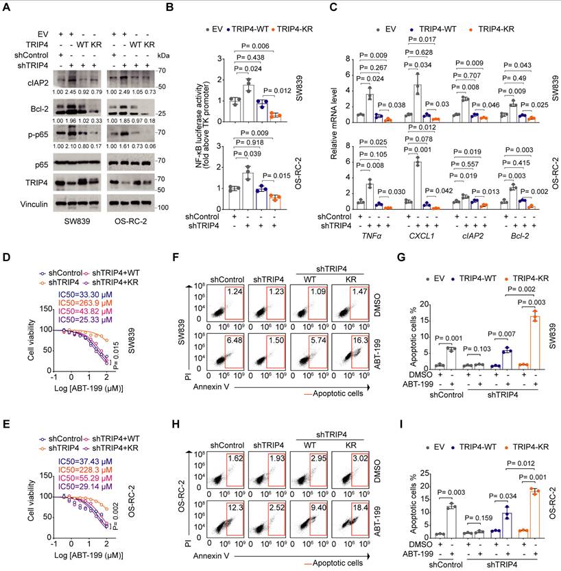 Int J Biol Sci Image