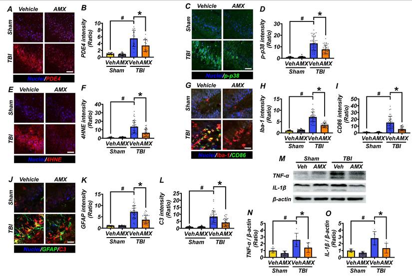 Int J Biol Sci Image
