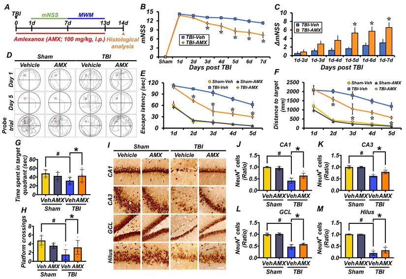 Int J Biol Sci Image