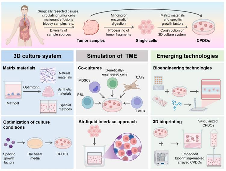 Int J Biol Sci Image