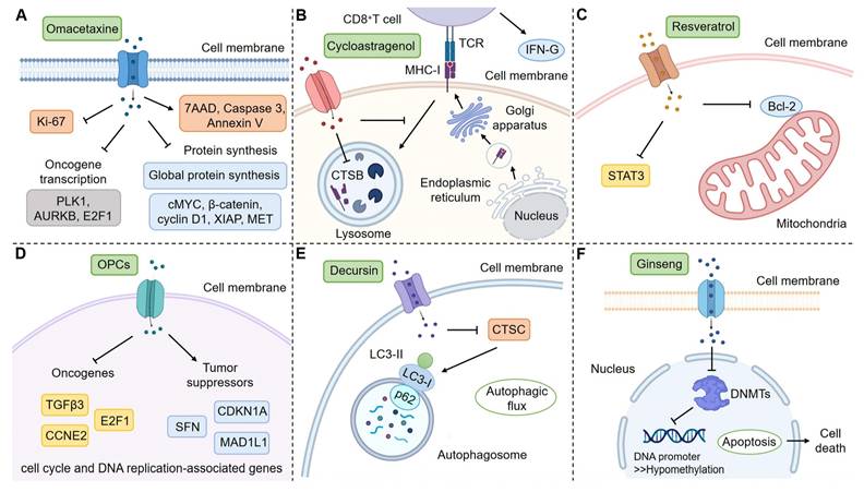 Int J Biol Sci Image