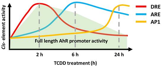 Int J Biol Sci Image