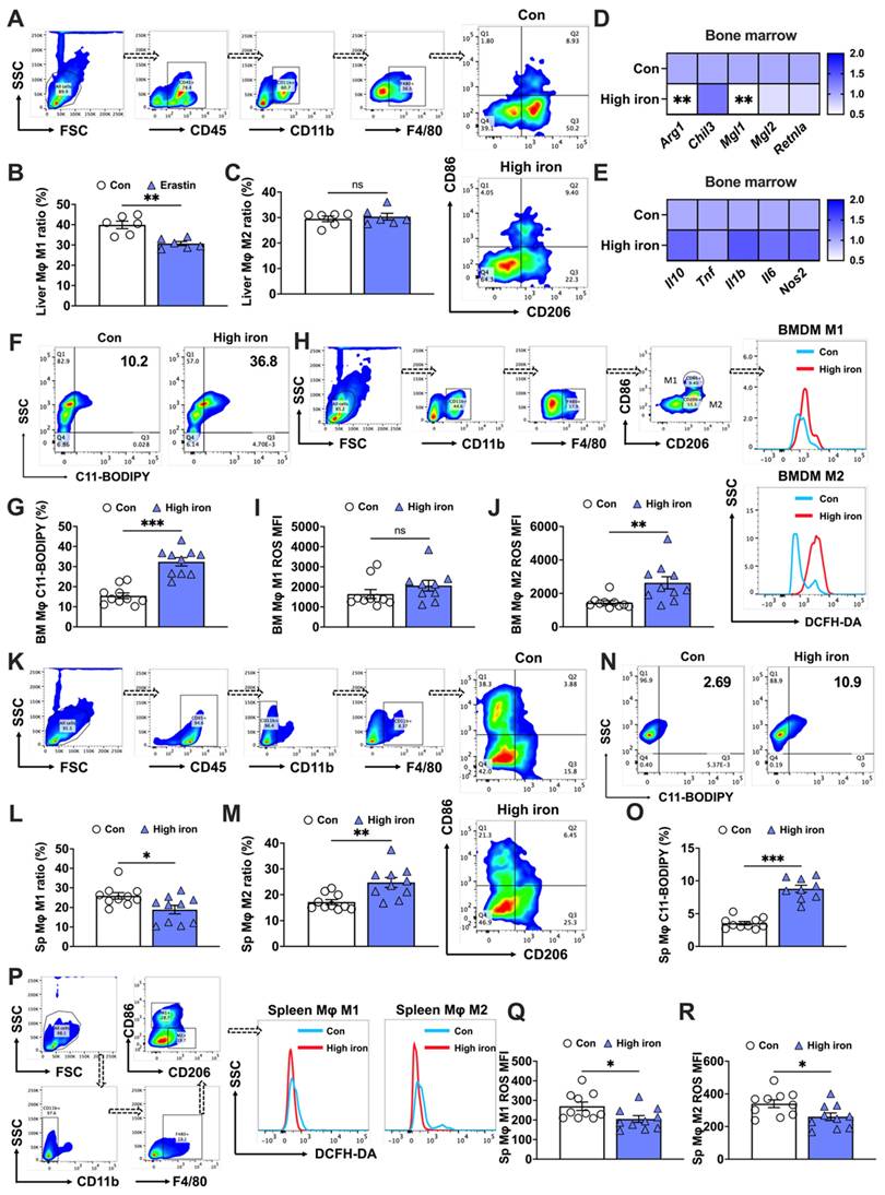 Int J Biol Sci Image