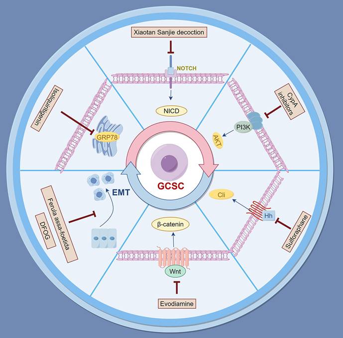 Int J Biol Sci Image