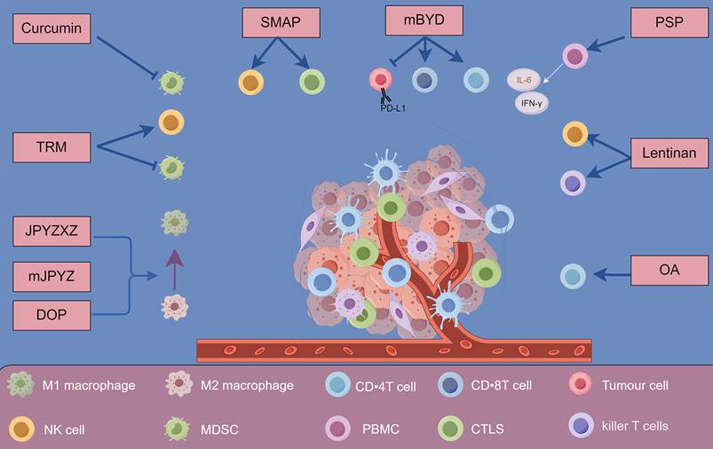 Int J Biol Sci Image