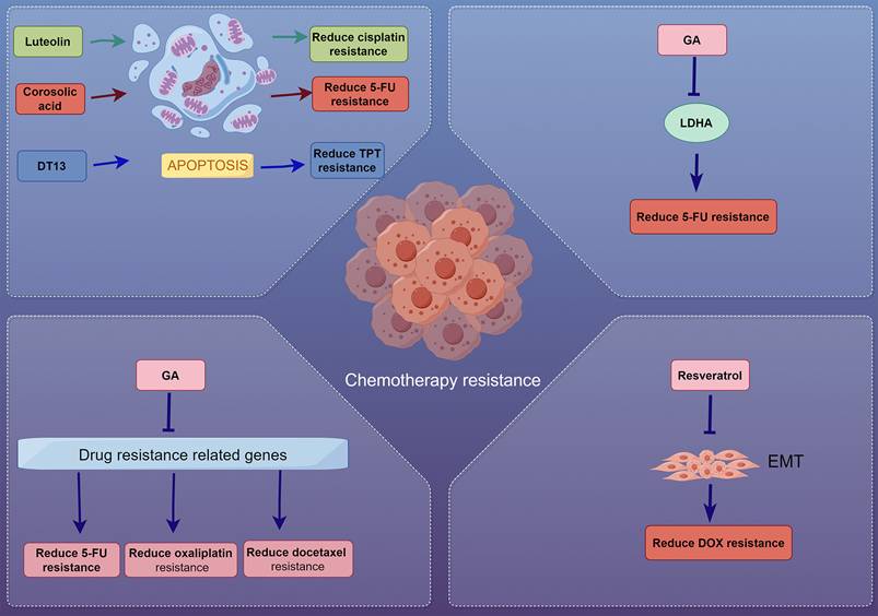 Int J Biol Sci Image