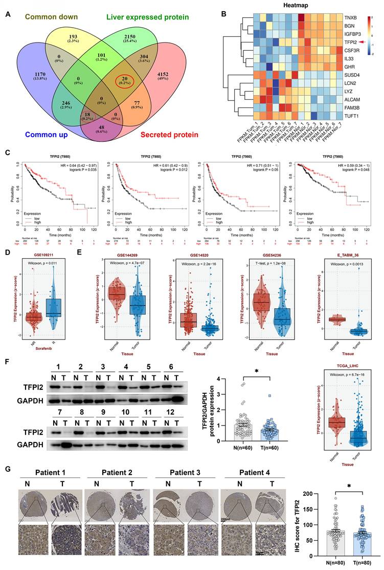 Int J Biol Sci Image