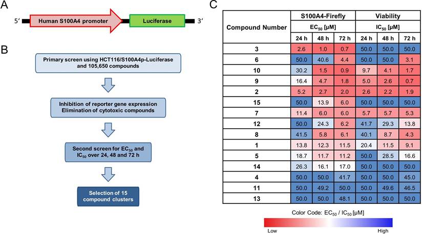 Int J Biol Sci Image