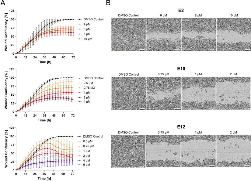 Int J Biol Sci Image