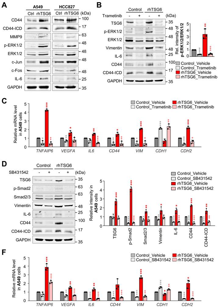 Int J Biol Sci Image
