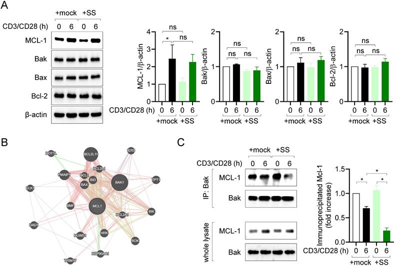 Int J Biol Sci Image