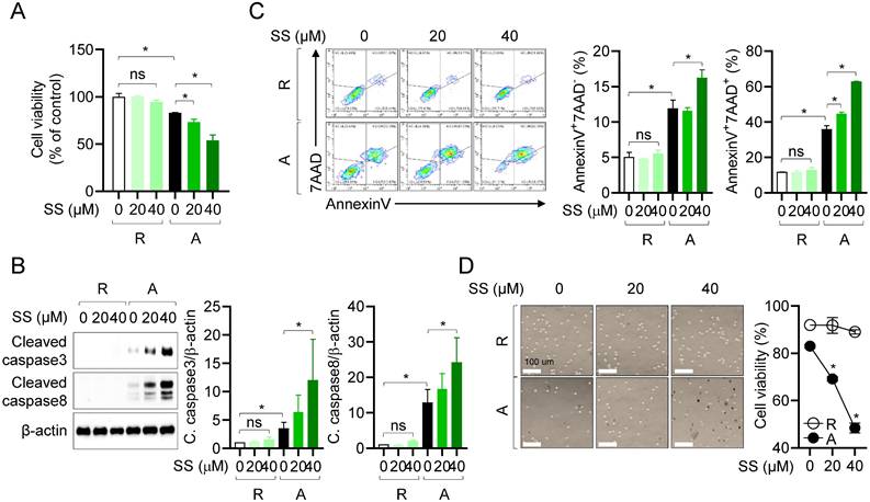 Int J Biol Sci Image