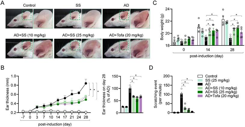Int J Biol Sci Image