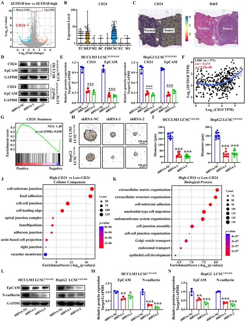 Int J Biol Sci Image