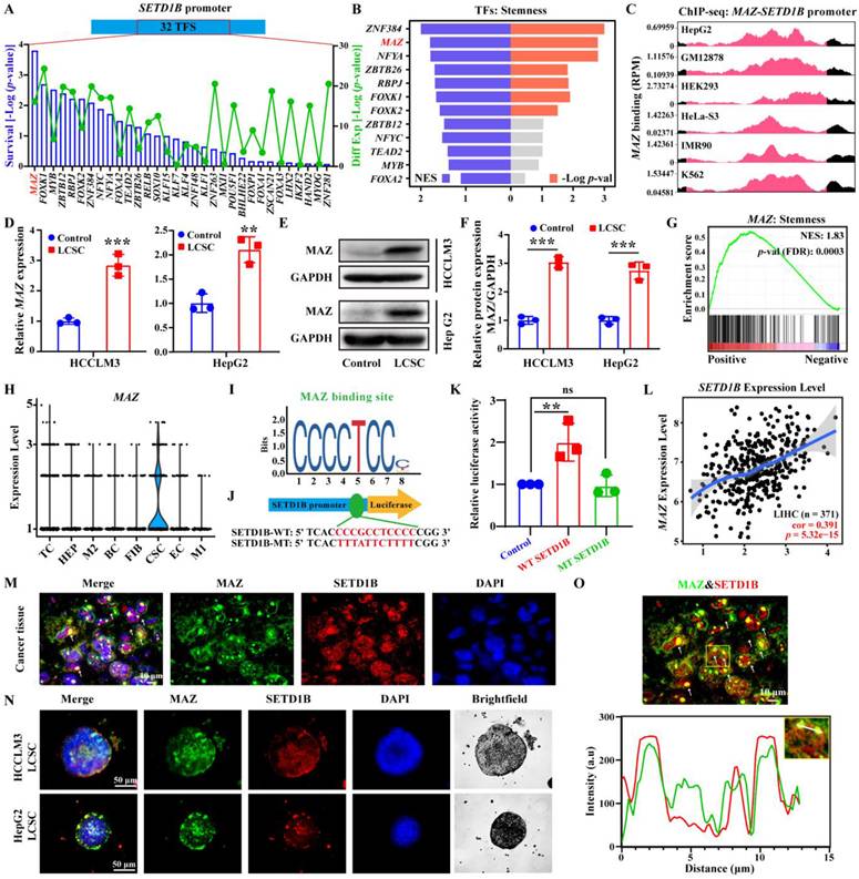 Int J Biol Sci Image