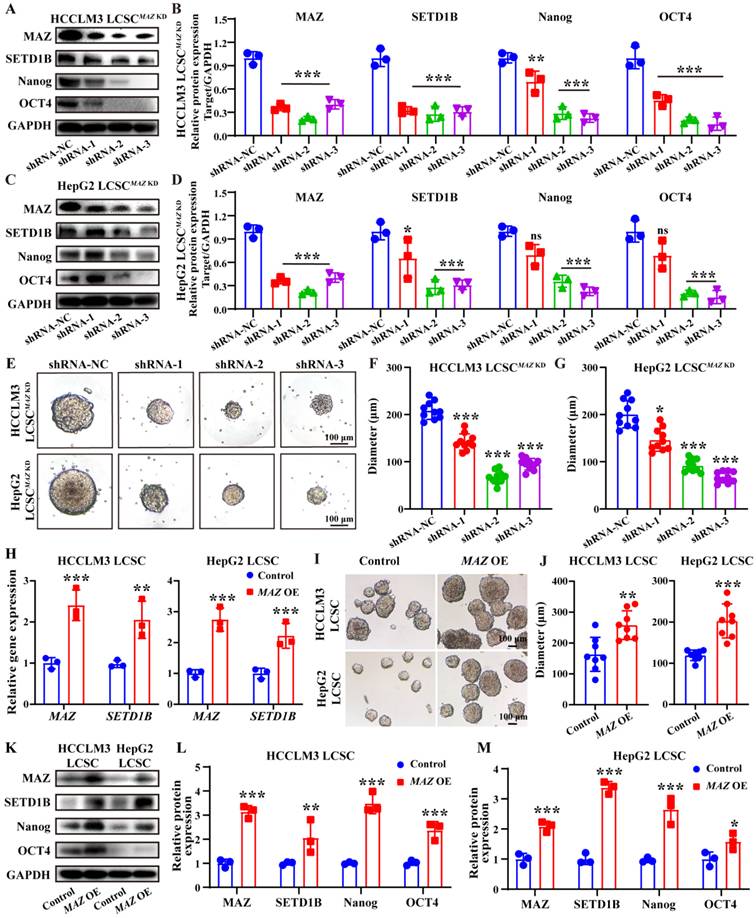 Int J Biol Sci Image