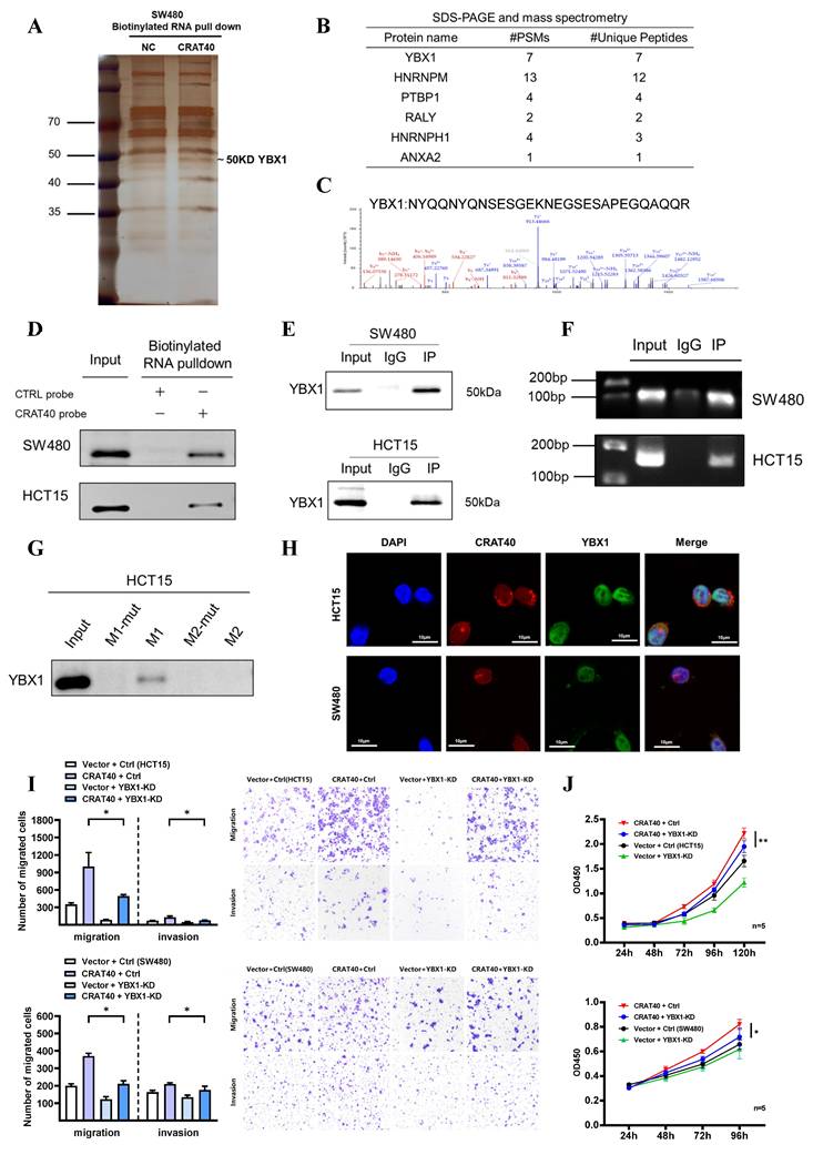 Int J Biol Sci Image