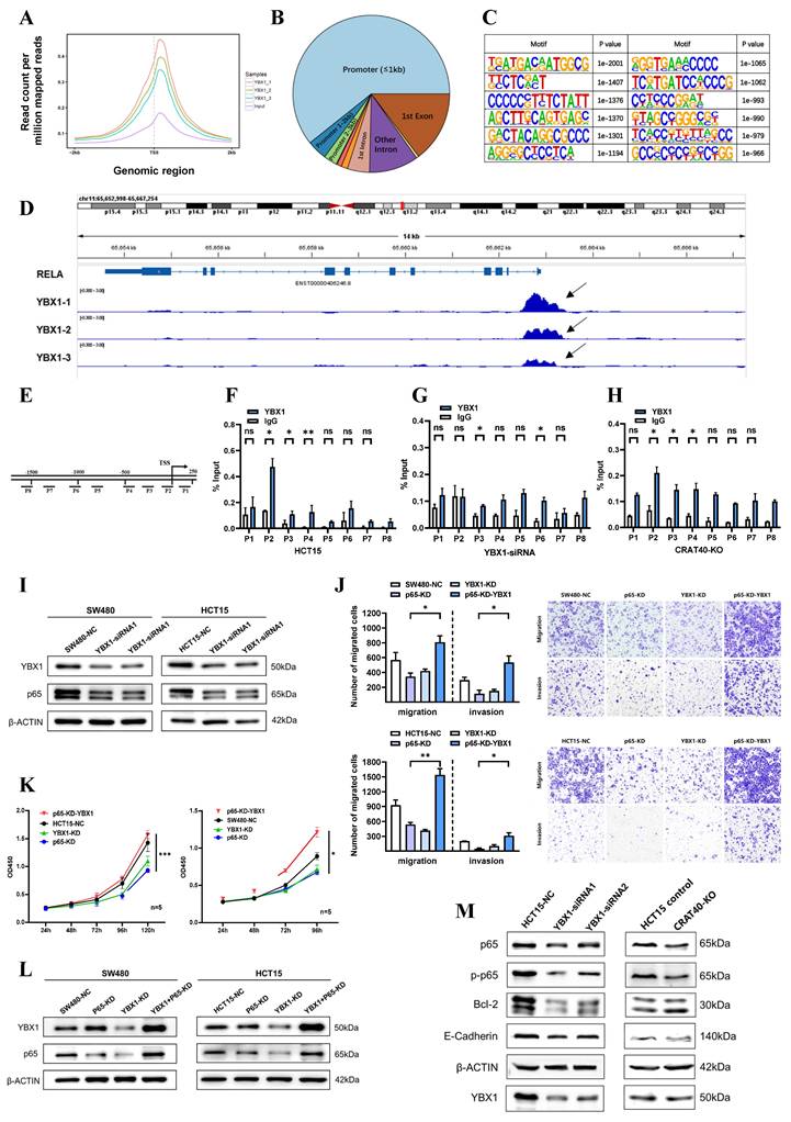 Int J Biol Sci Image