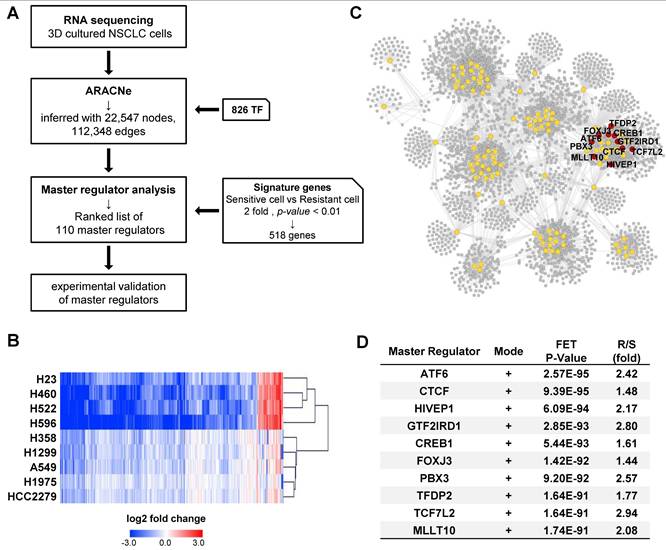 Int J Biol Sci Image