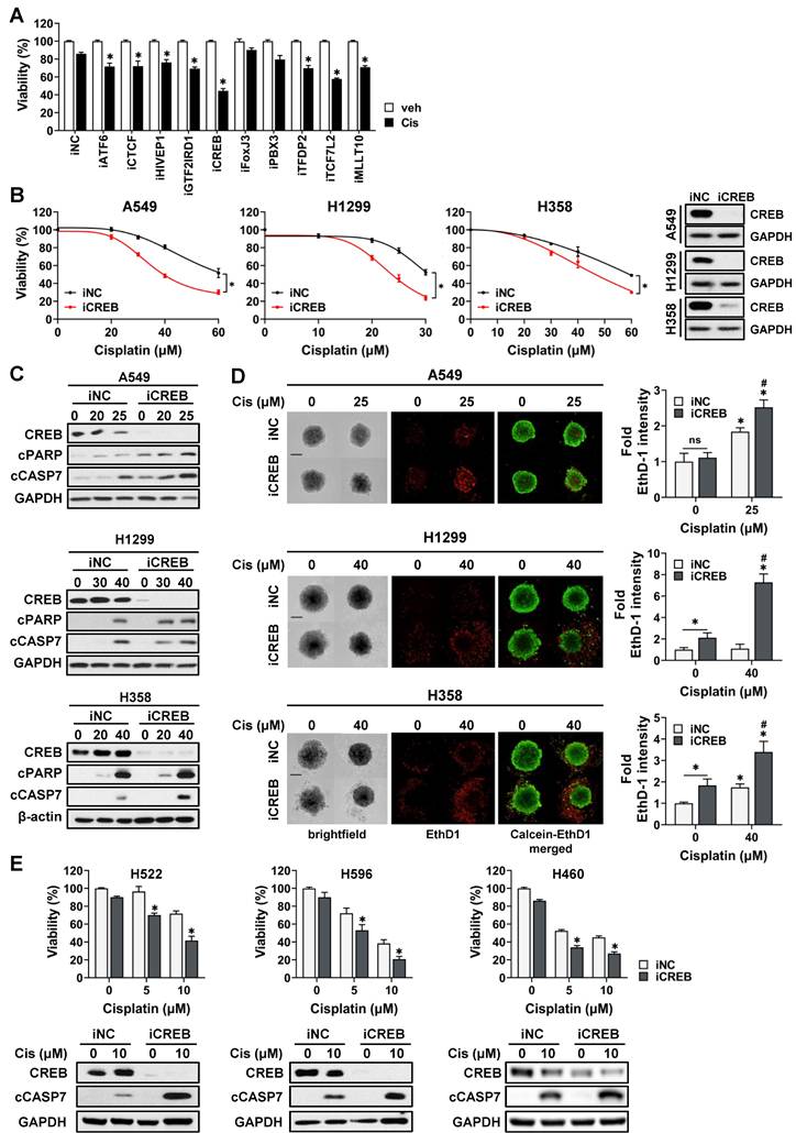 Int J Biol Sci Image