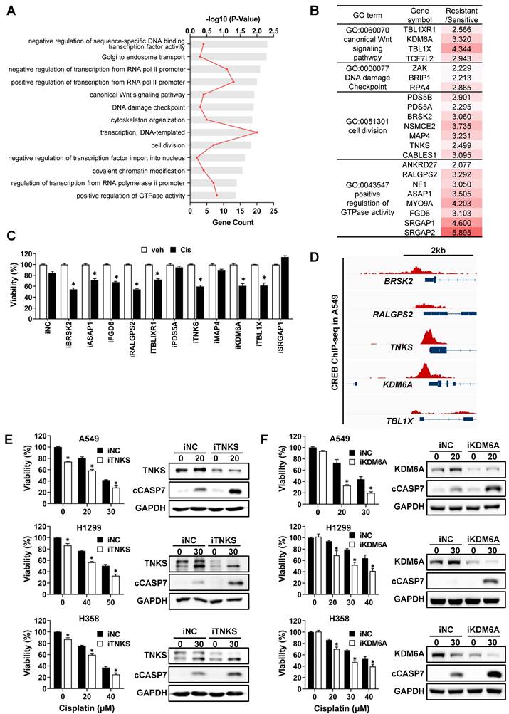 Int J Biol Sci Image