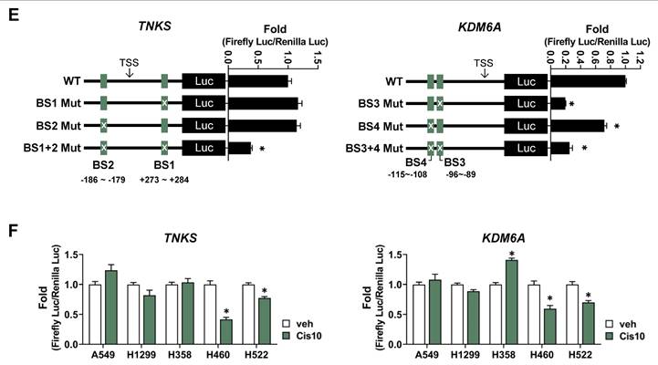 Int J Biol Sci Image
