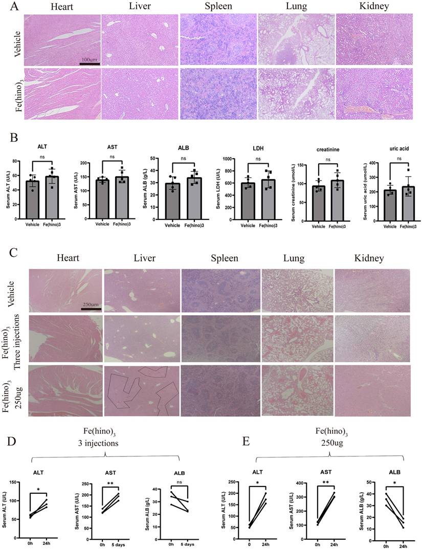 Int J Biol Sci Image