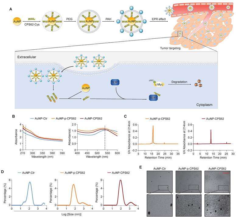Int J Biol Sci Image