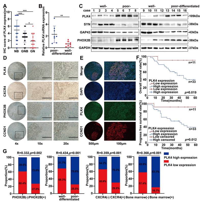 Int J Biol Sci Image