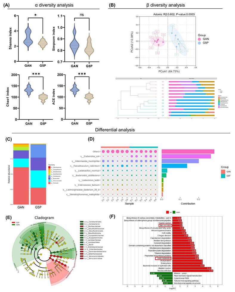Int J Biol Sci Image
