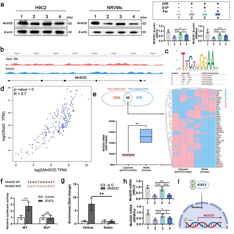 Int J Biol Sci Image