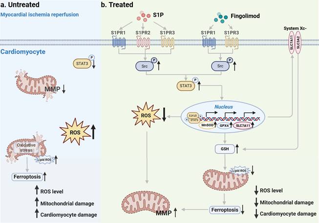 Int J Biol Sci Image