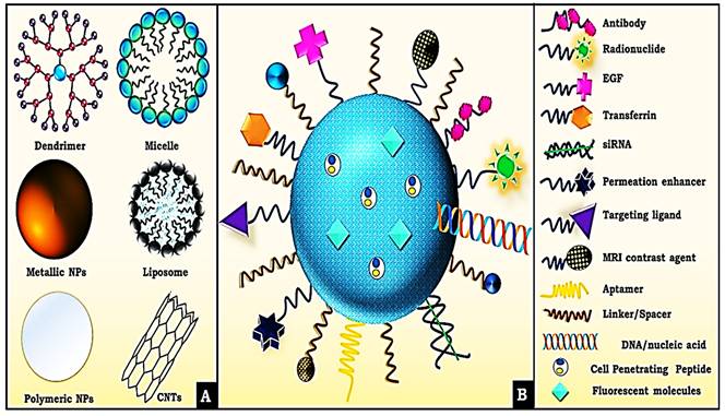 Int J Biol Sci Image