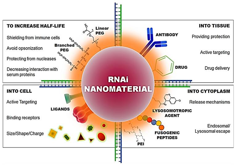 Int J Biol Sci Image